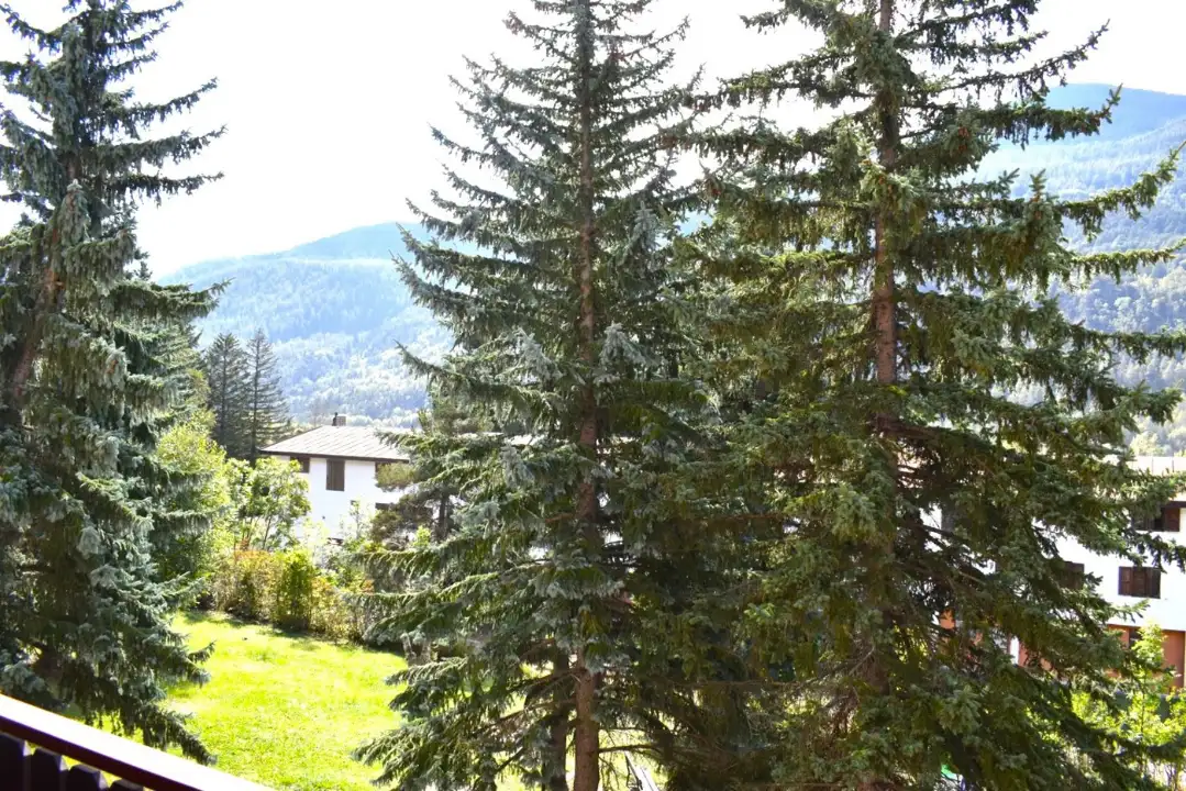 Appartamento - Image 26