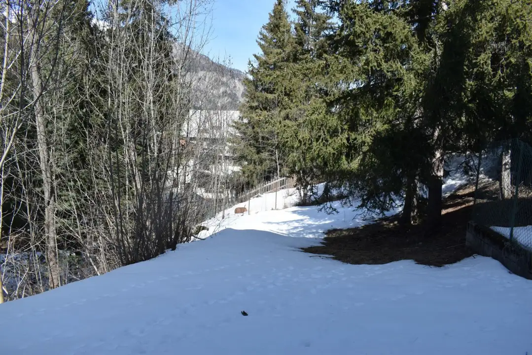 Appartamento - Image 25