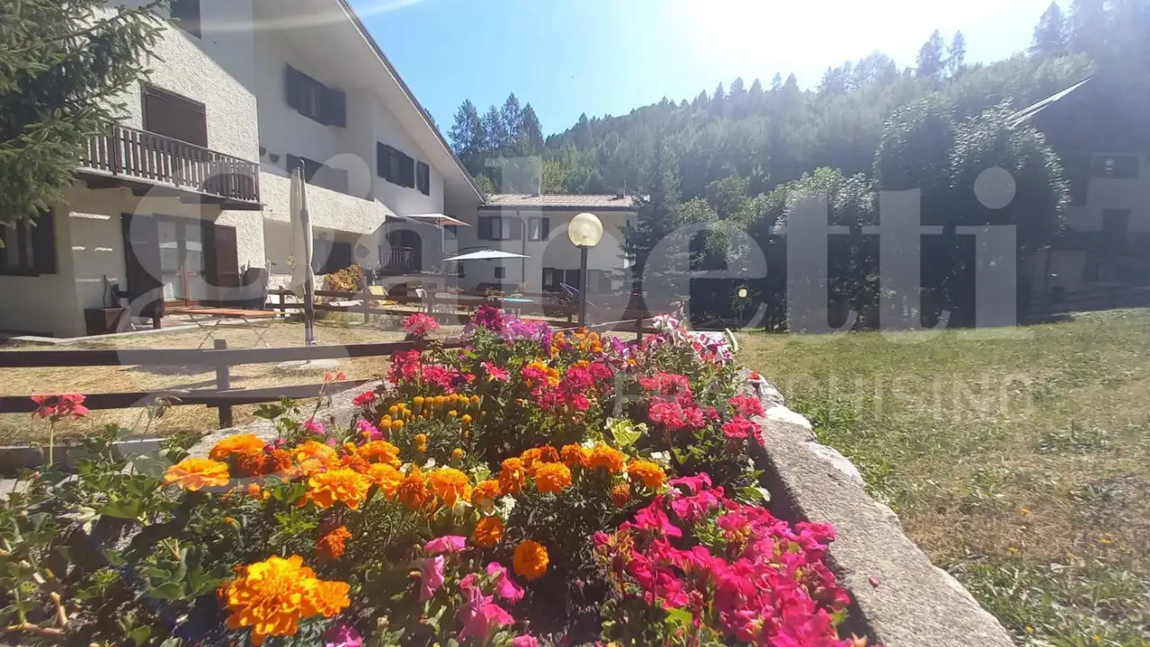 Appartamento - Image 23