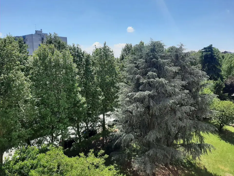 Appartamento - Image 20