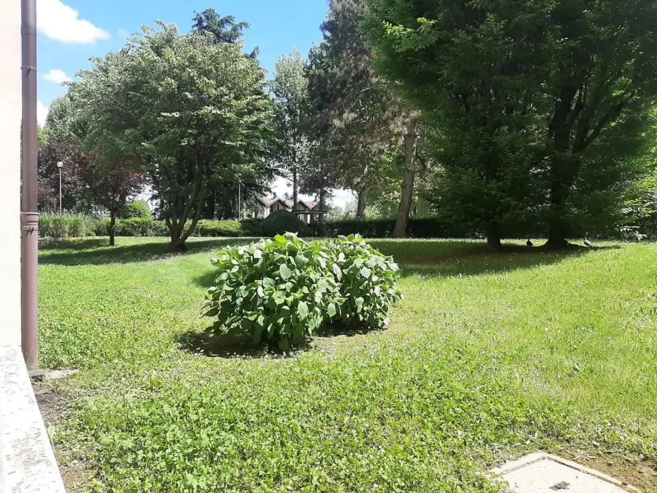 Appartamento - Image 31