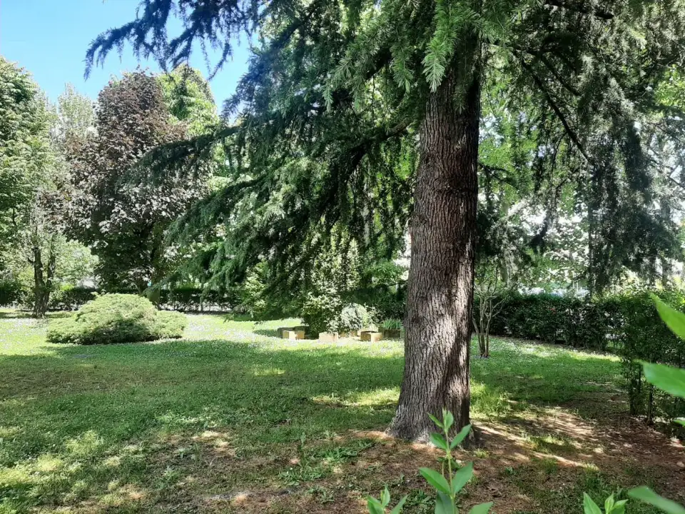 Appartamento - Image 33