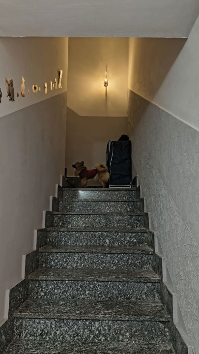 Appartamento - Image 24