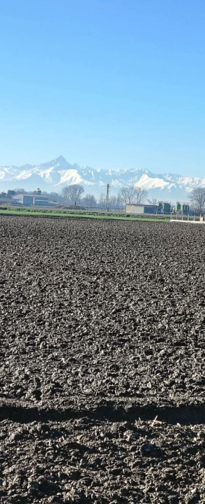 Appartamento - Image 10