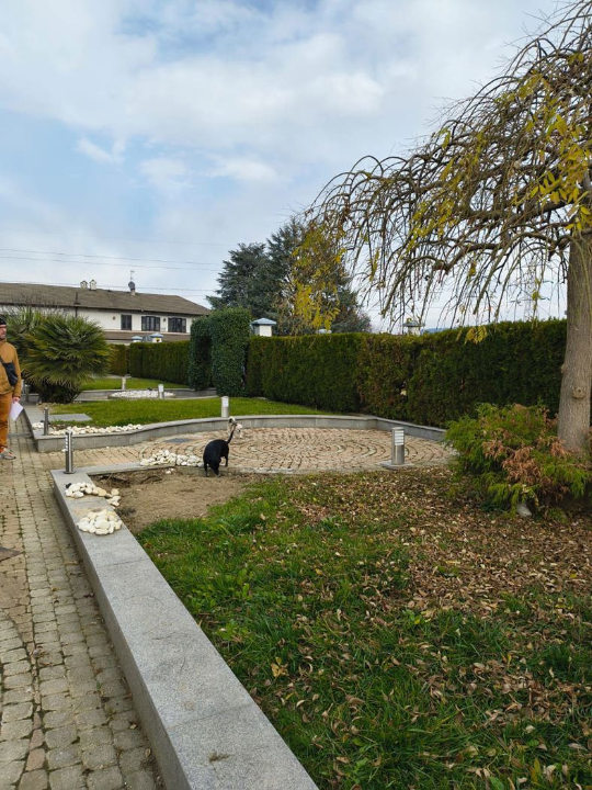 Appartamento - Image 12