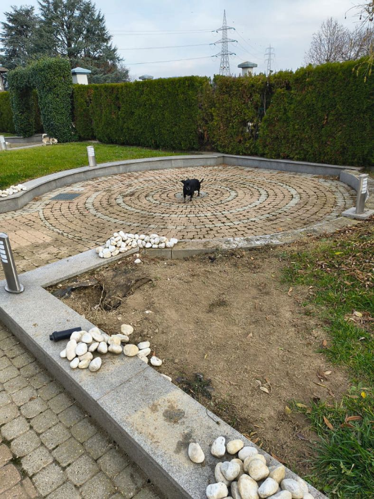 Appartamento - Image 16