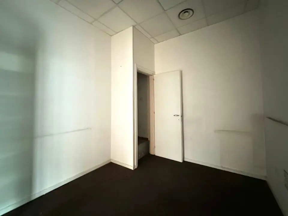 Attività - Image 13