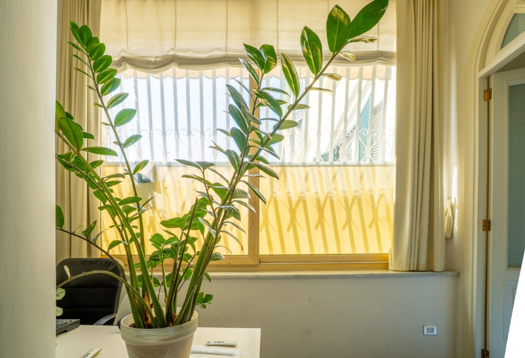 Appartamento - Image 7