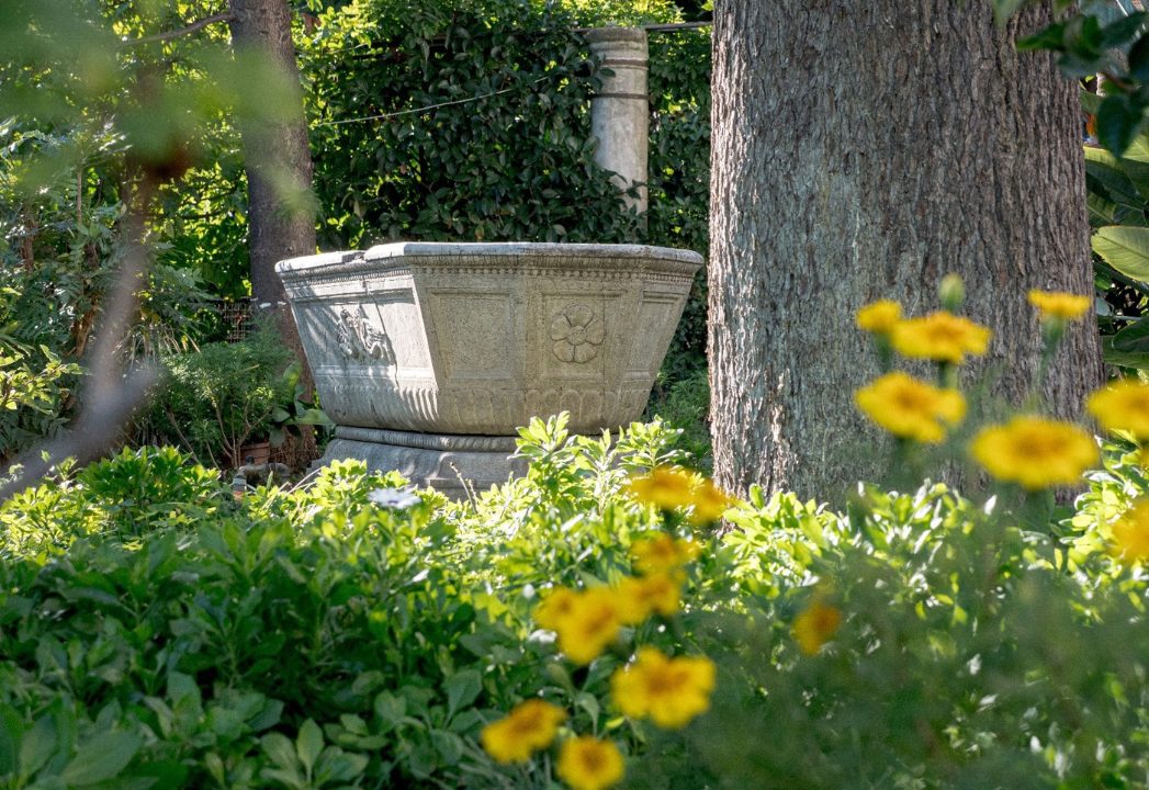 Appartamento - Image 36