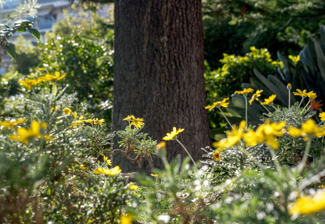 Appartamento - Image 37