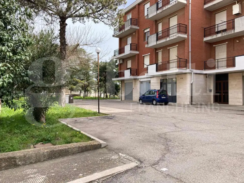 Appartamento - Image 3