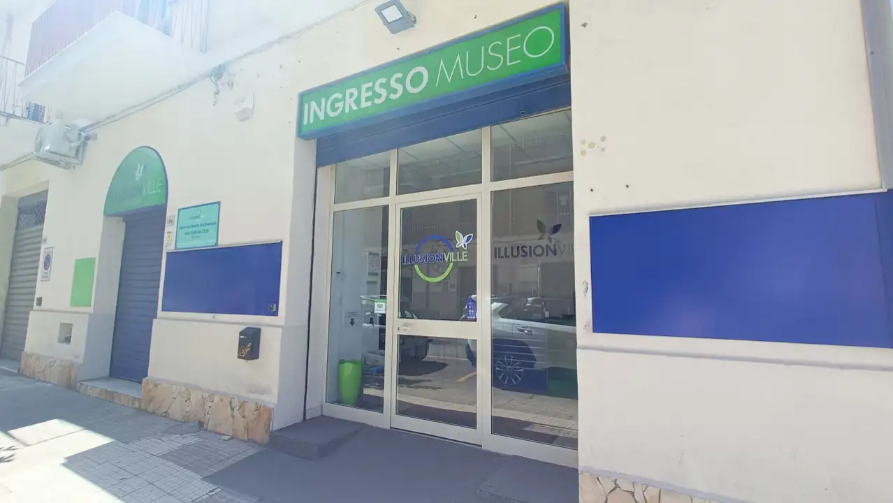 Attività - Image 30