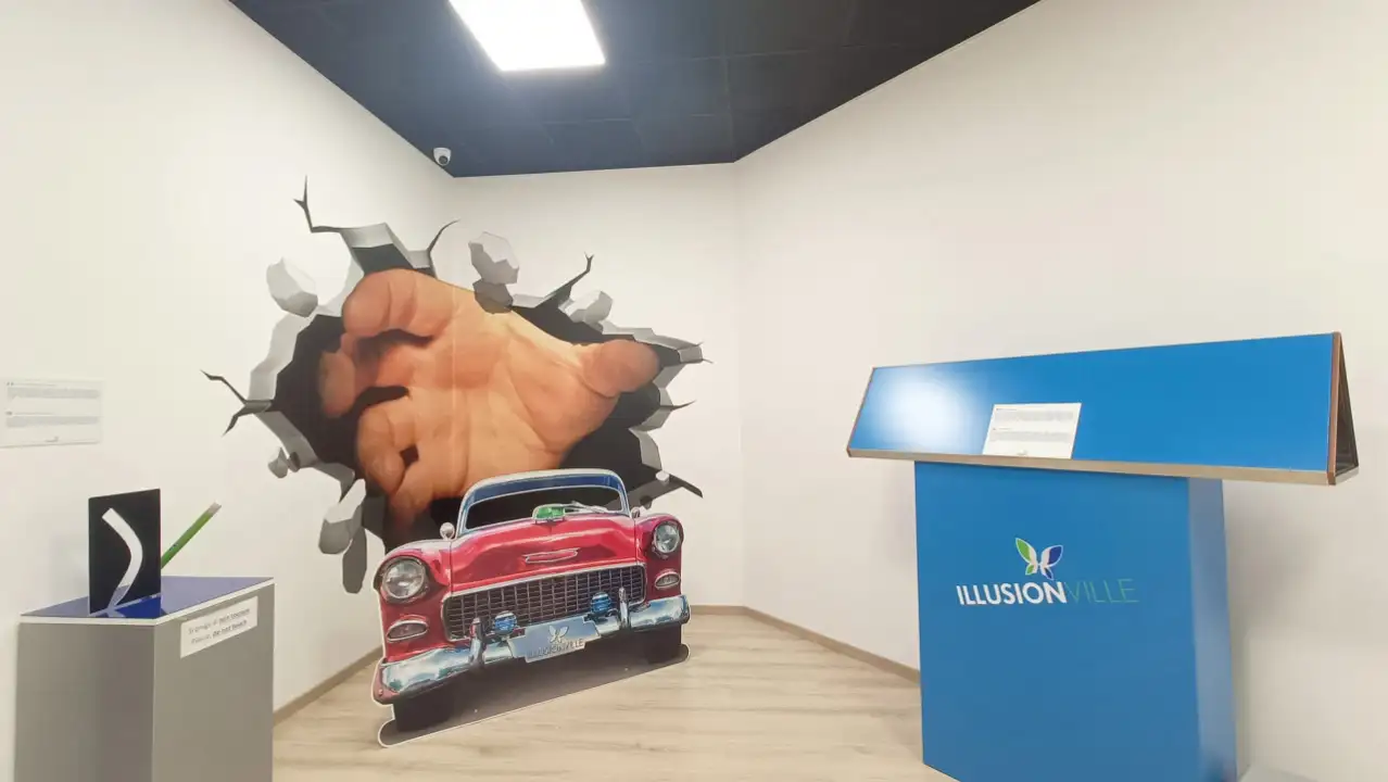 Attività - Image 26