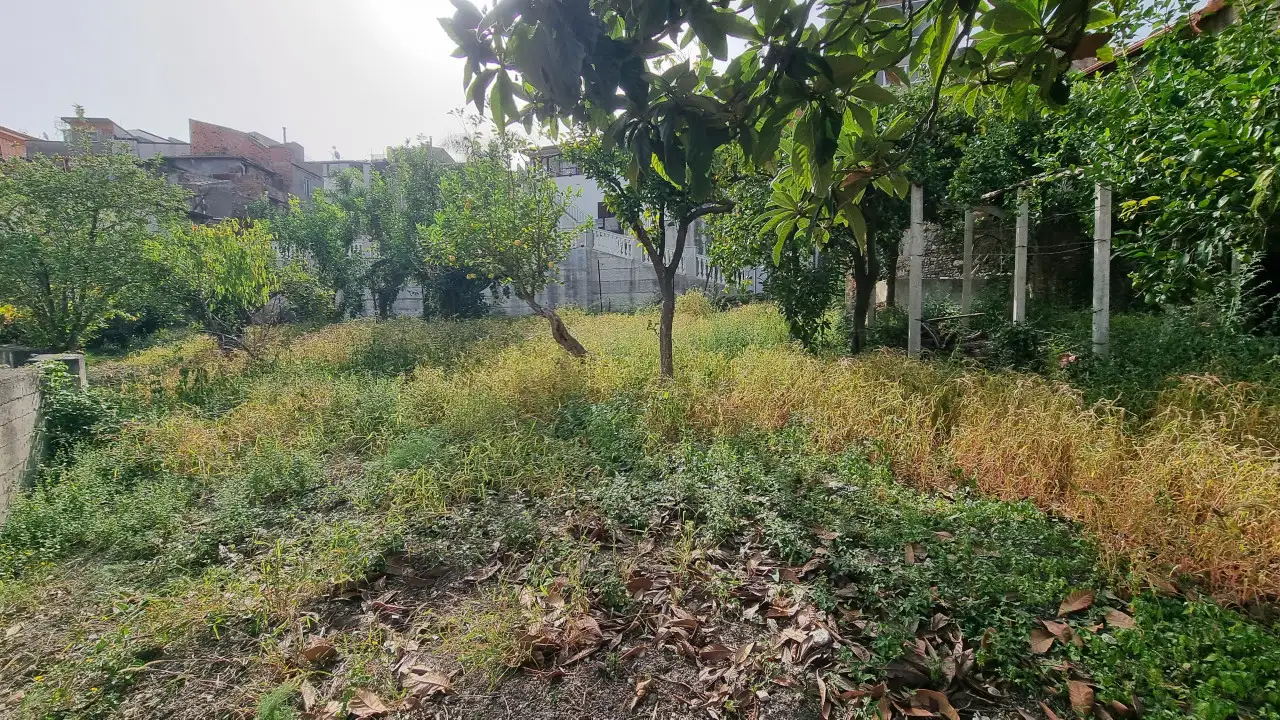 Palazzina - Image 10