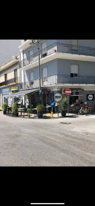 Attività - Image 12