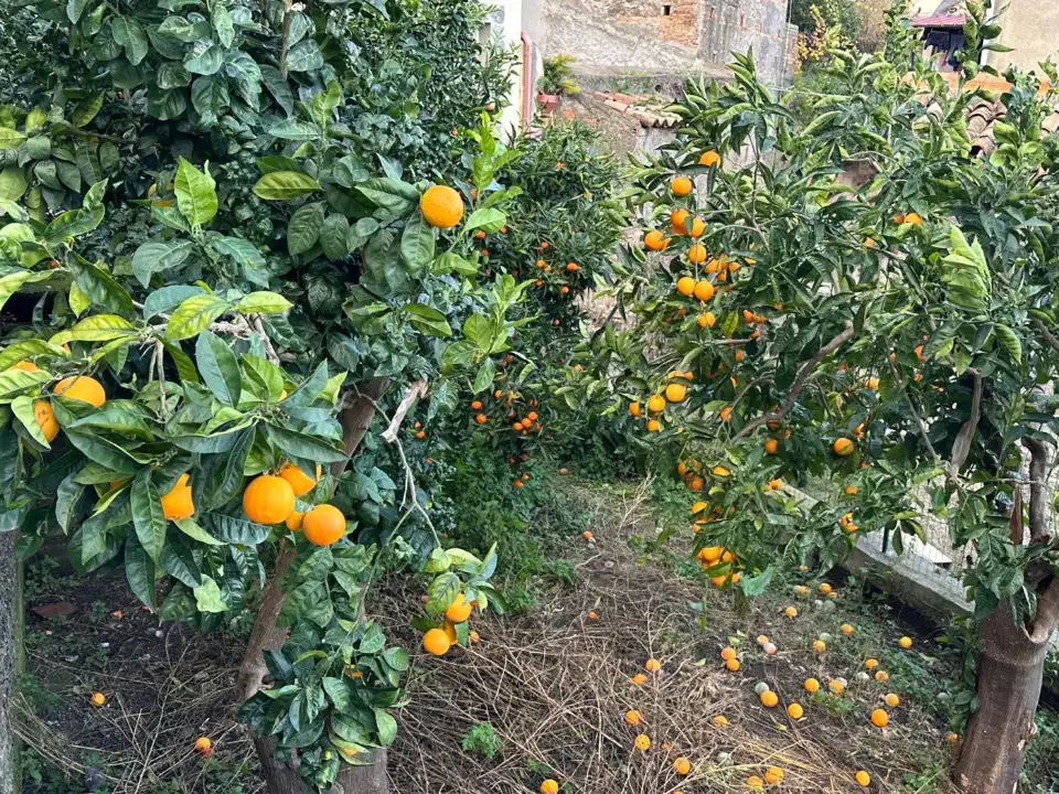 Casa Indipendente - Image 19