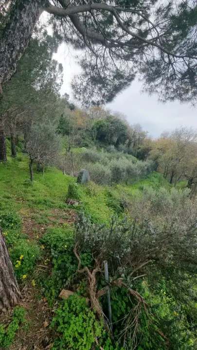 Casa Indipendente - Image 35