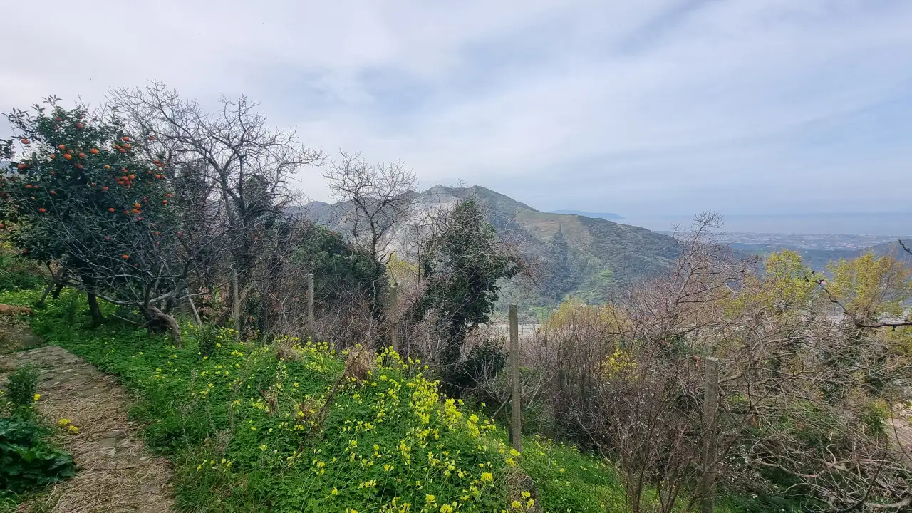 Casa Indipendente - Image 23