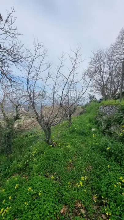 Casa Indipendente - Image 43
