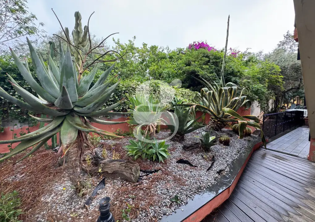 Appartamento - Image 4