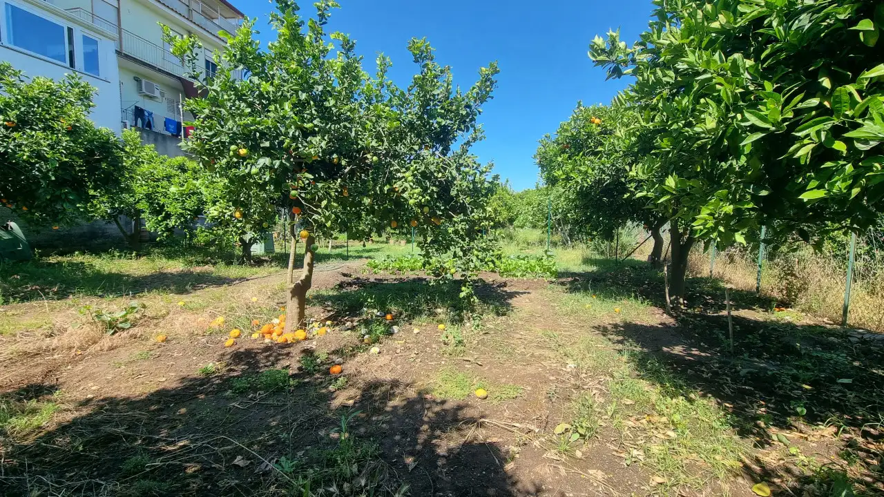 Appartamento - Image 29