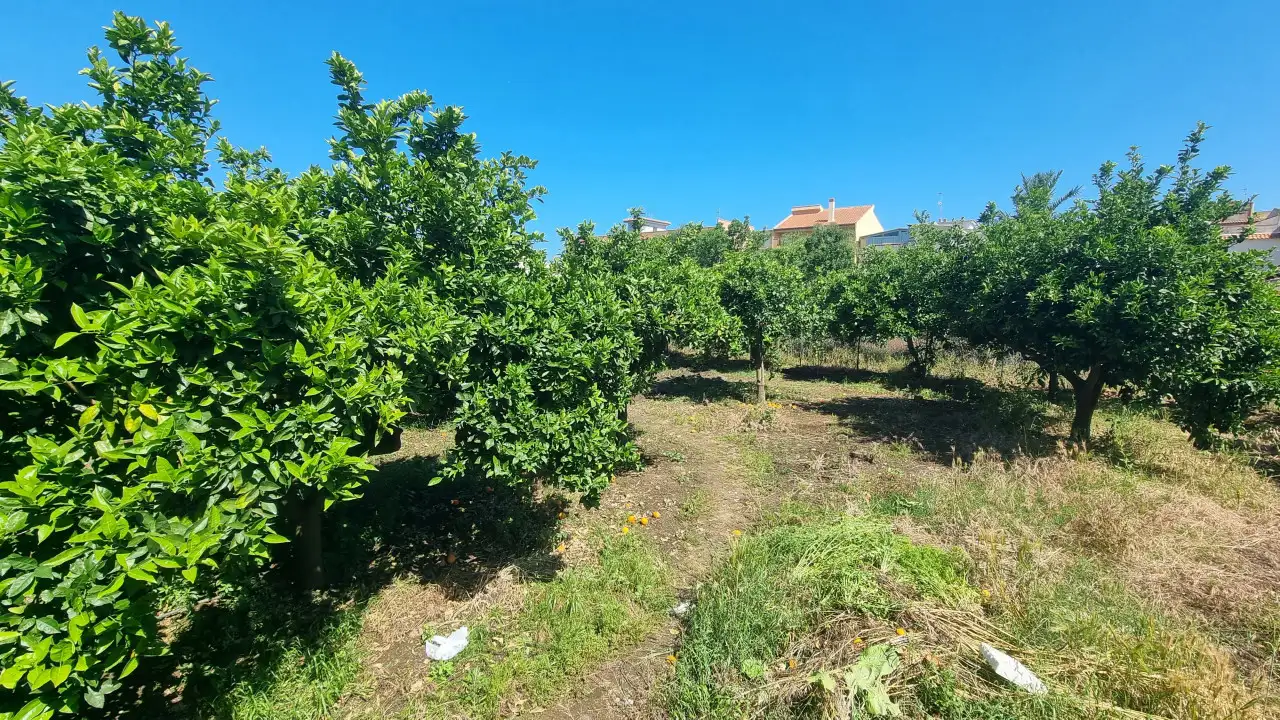 Appartamento - Image 13