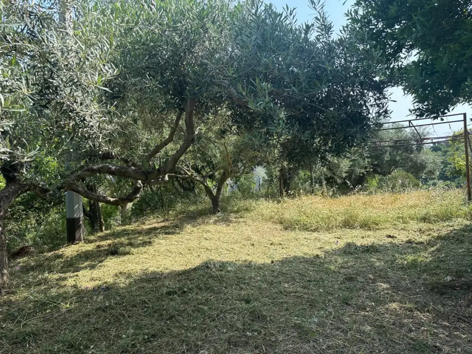 Casa Indipendente - Image 11