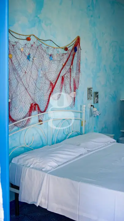 Attività - Image 17