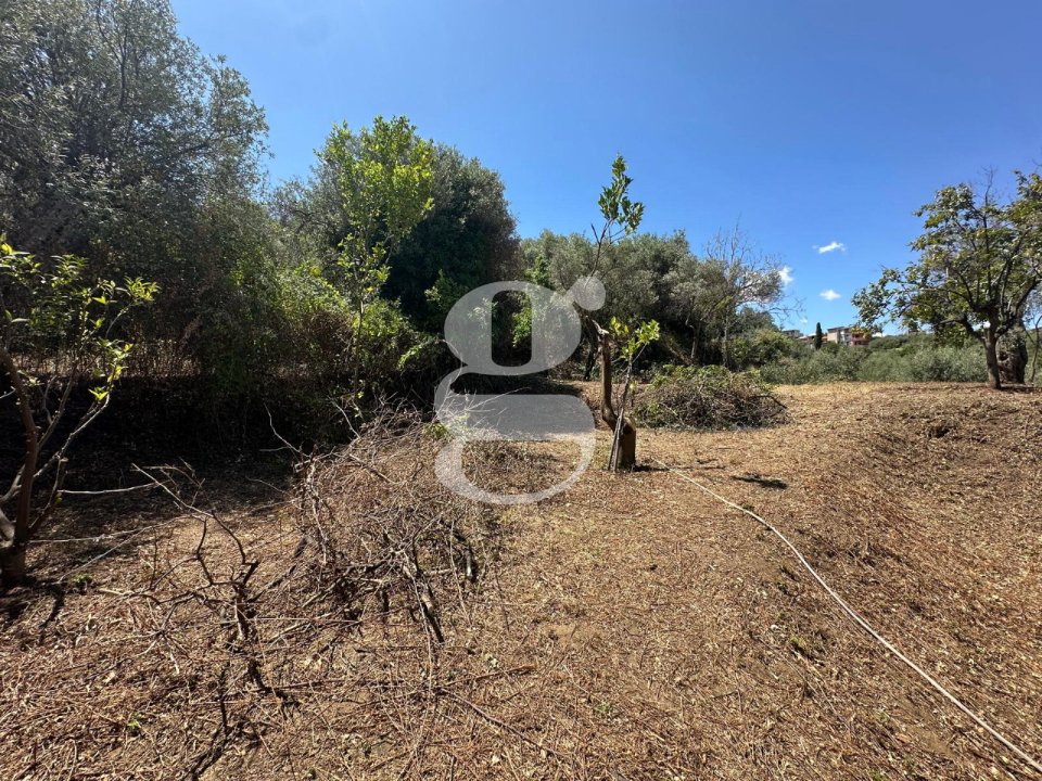 Casa Indipendente - Image 9