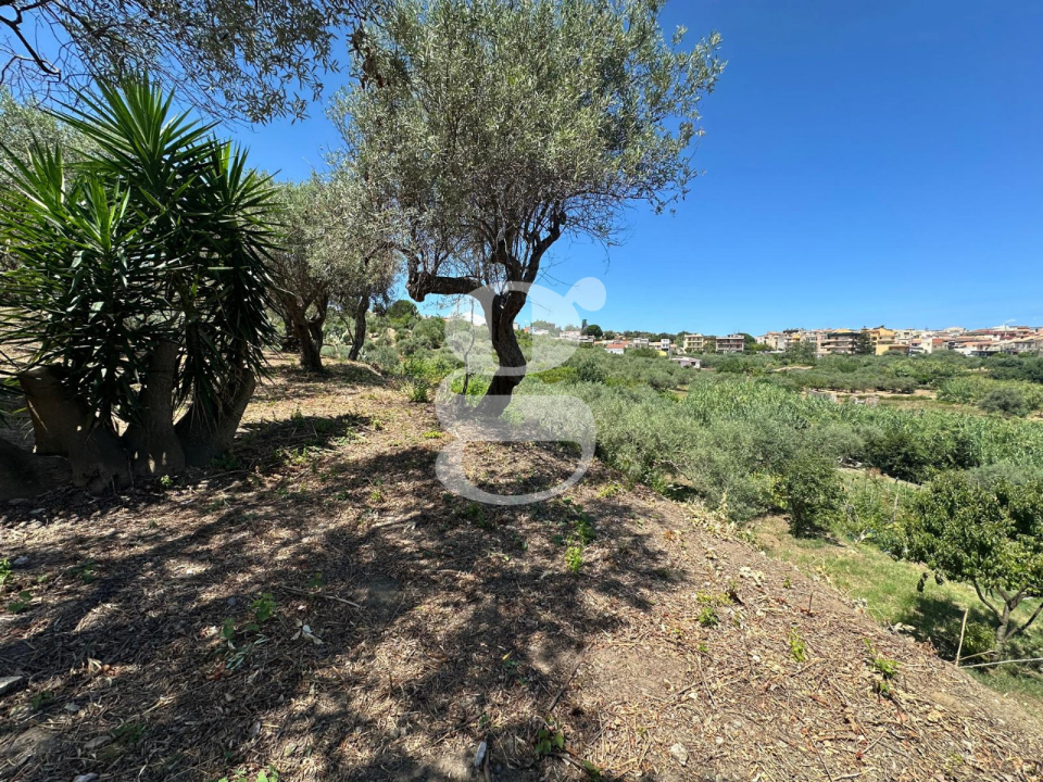 Casa Indipendente - Image 3