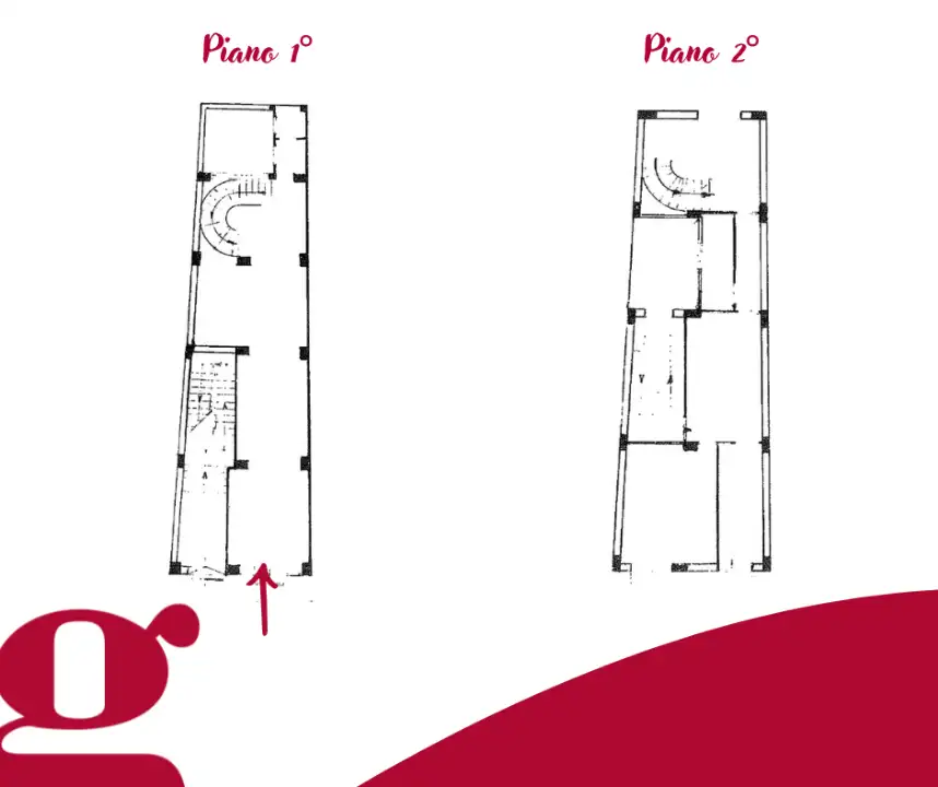 Negozio - Planimetry 1