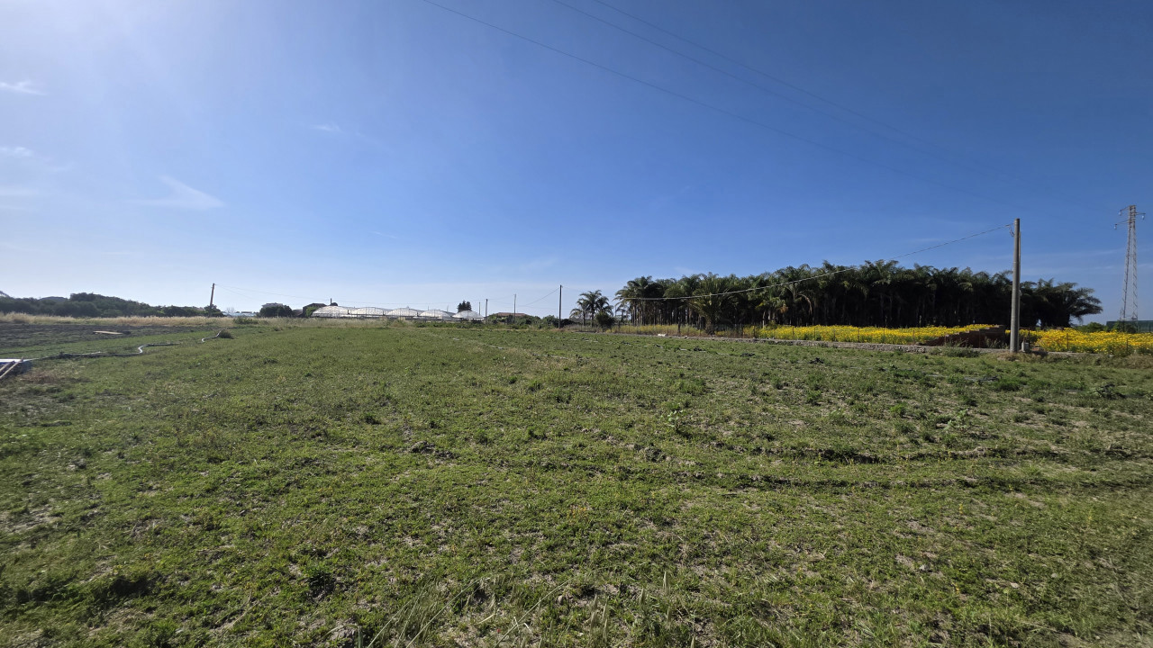 Terreno - Image 4