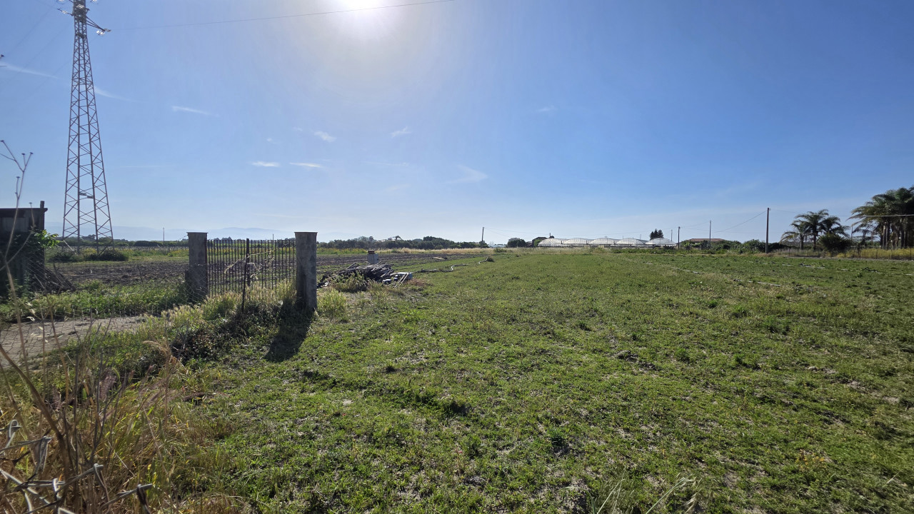 Terreno - Image 5