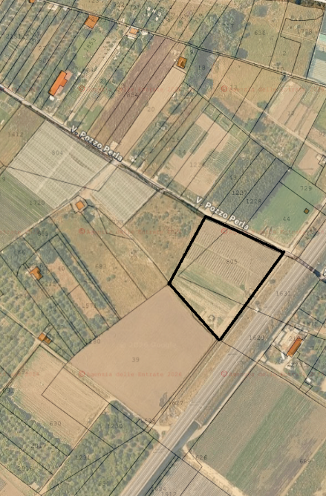 Terreno - Image 11