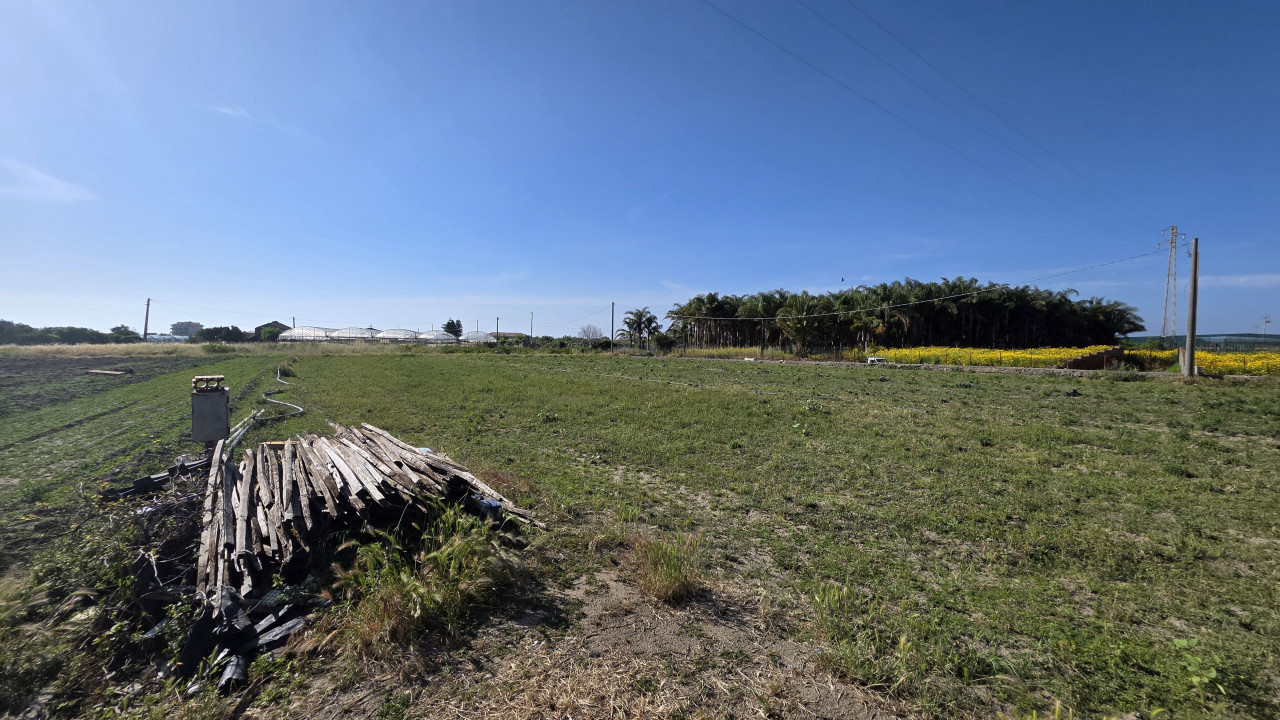 Terreno - Image 3
