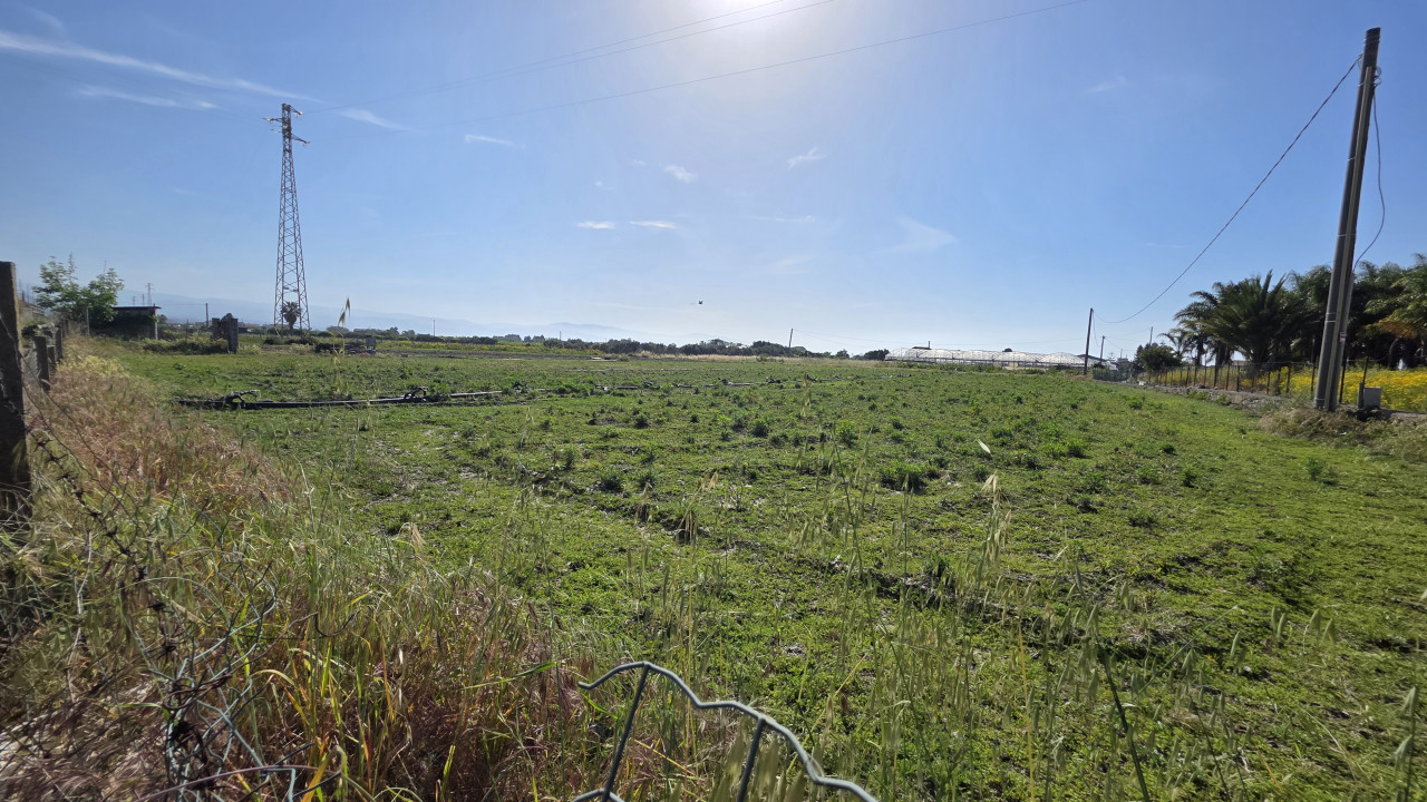 Terreno - Image 6