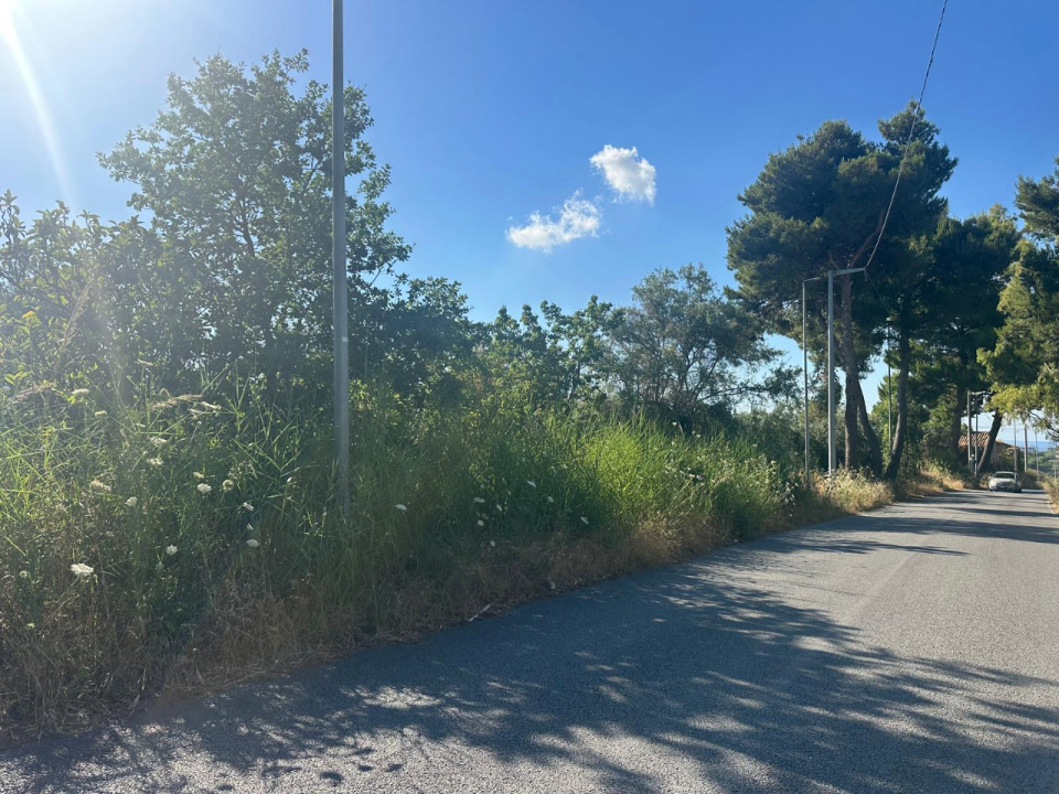 Terreno - Image 2