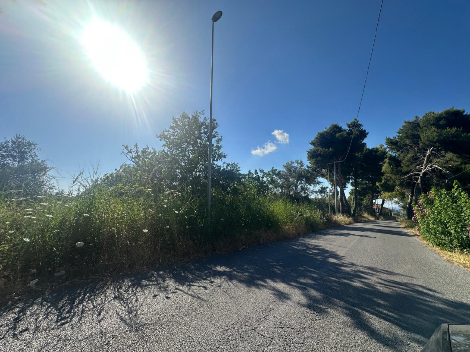 Terreno - Image 3