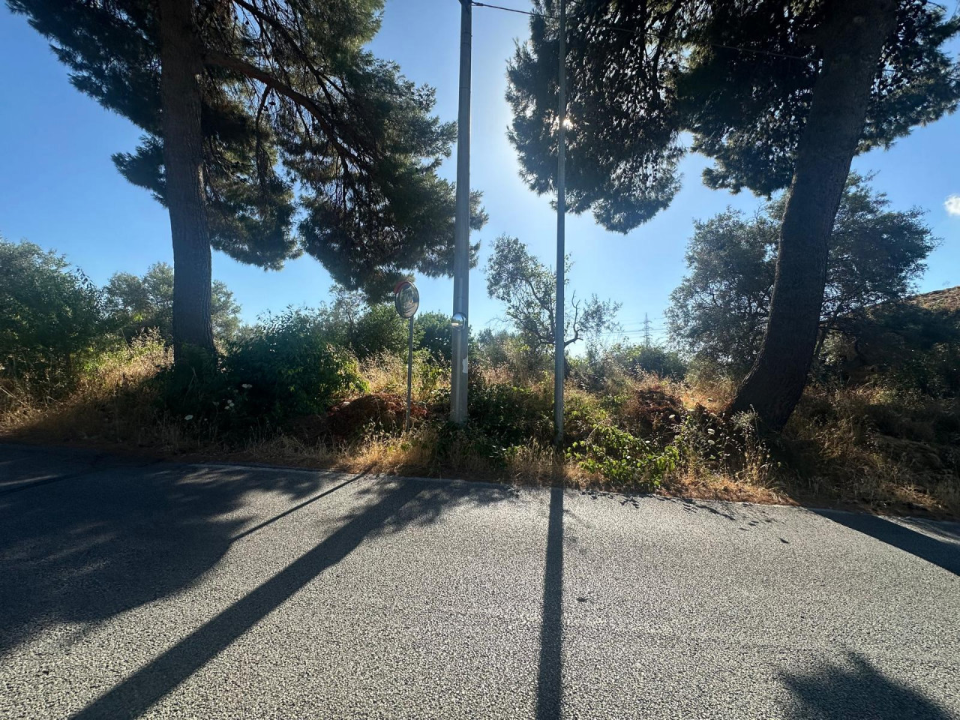 Terreno - Image 5