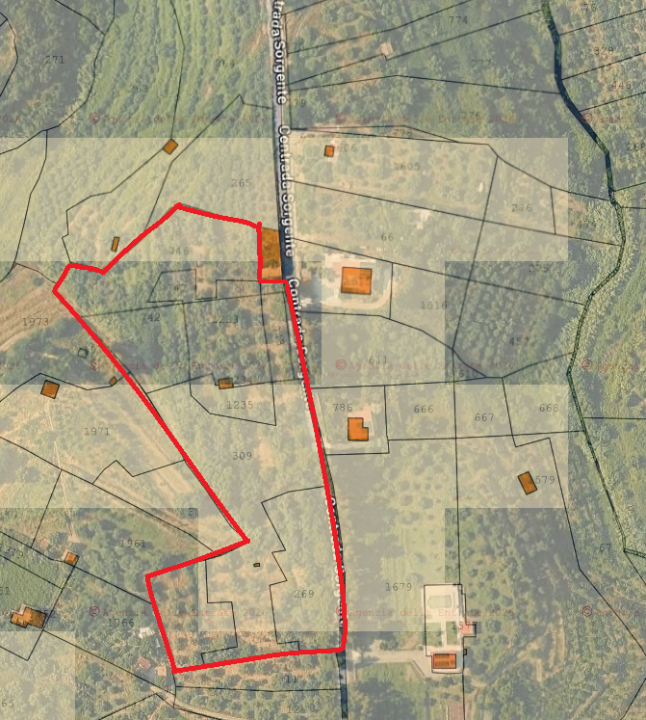 Terreno - Image 6