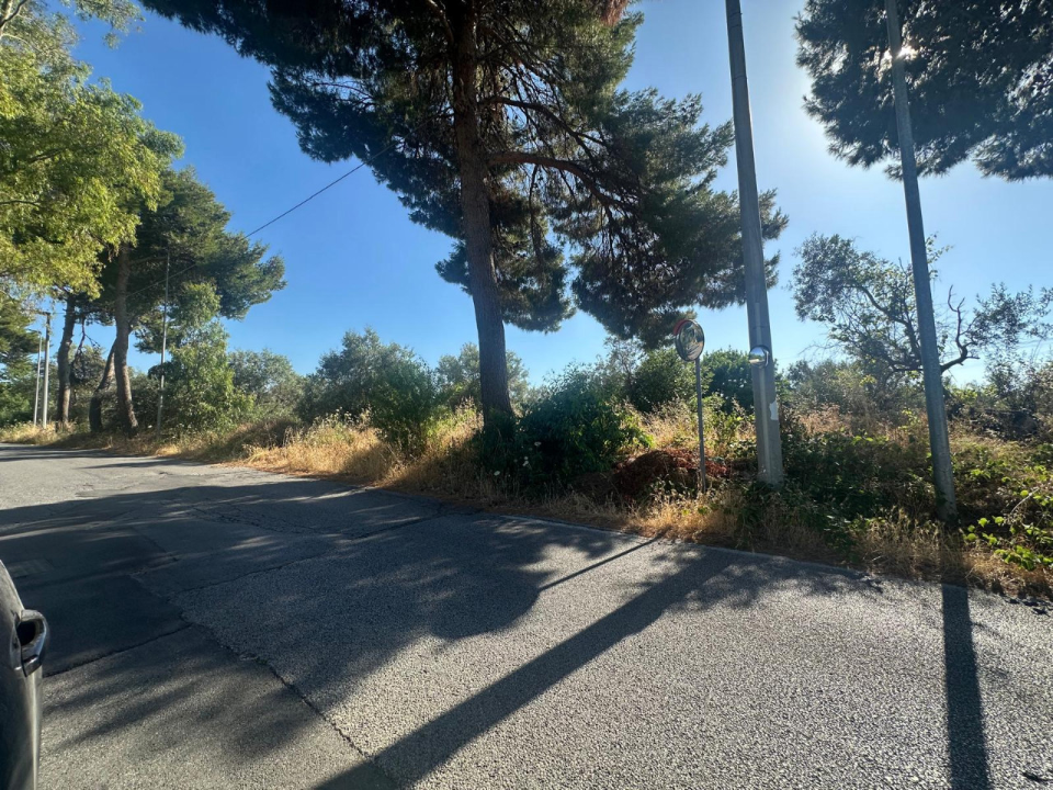 Terreno - Image 4