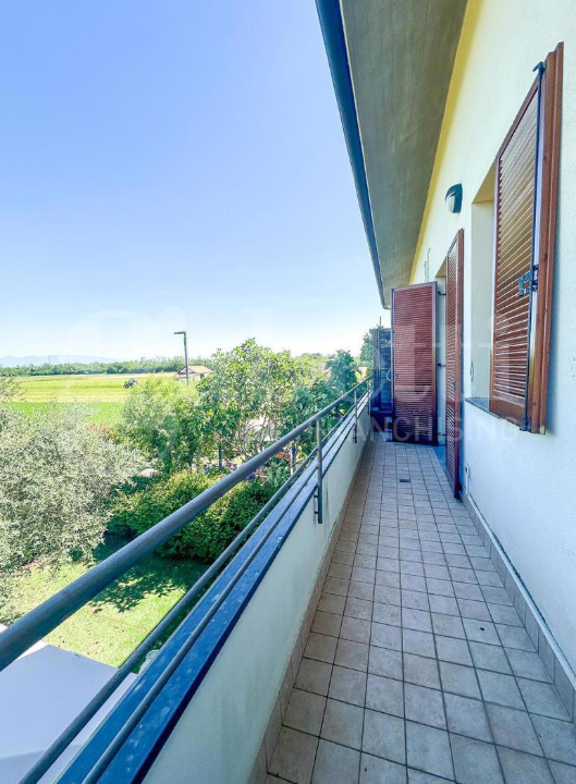 Appartamento - Image 6