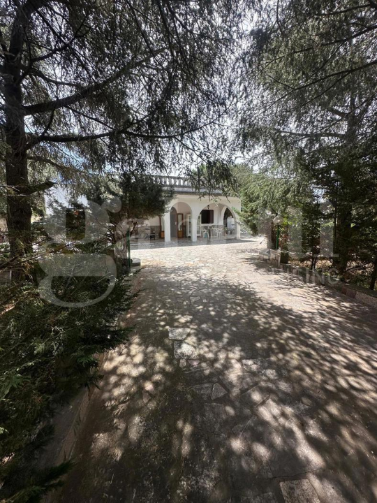 Villa - Image 14