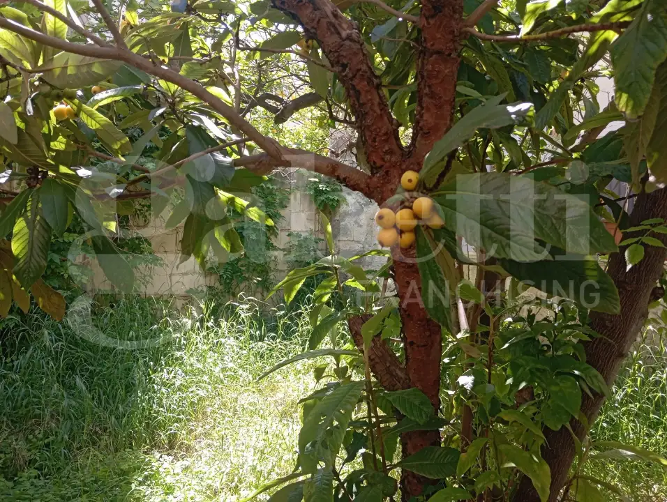 Casa Indipendente - Image 4