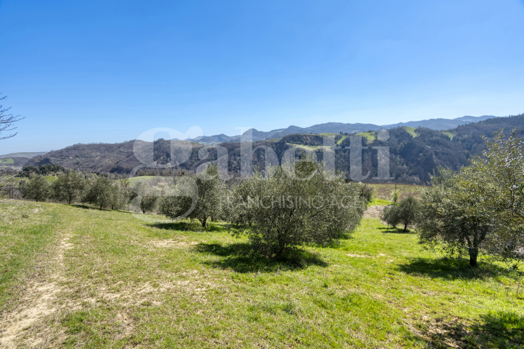 Casa Indipendente - Image 14