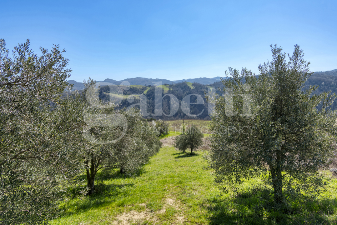 Casa Indipendente - Image 15