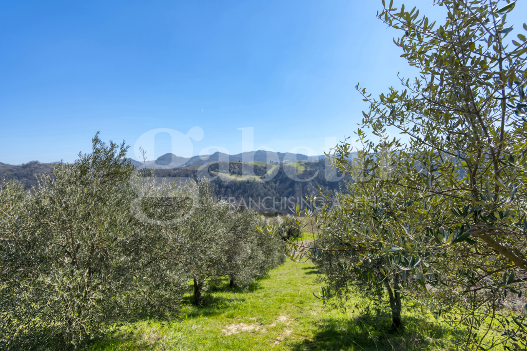 Casa Indipendente - Image 16