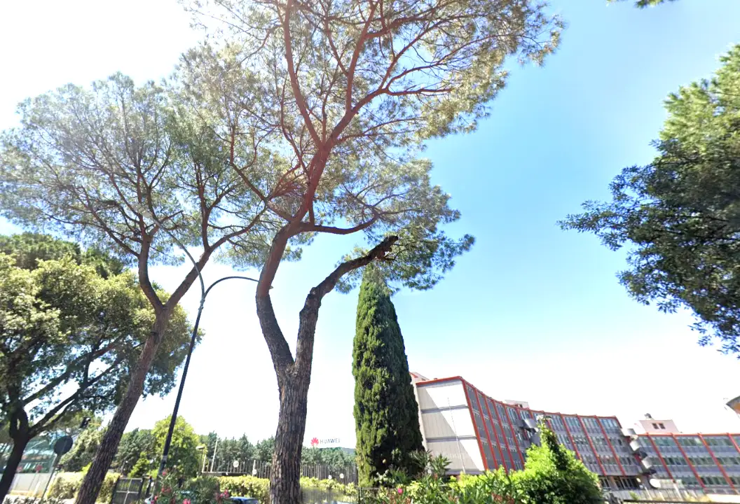 Appartamento - Image 4