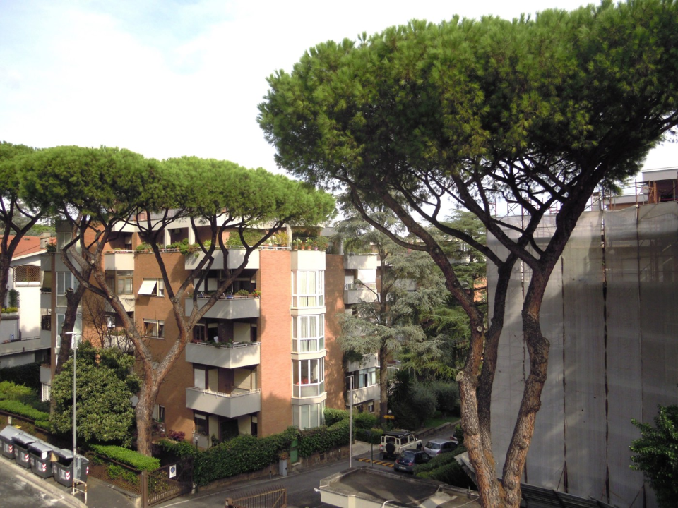 Appartamento - Image 38