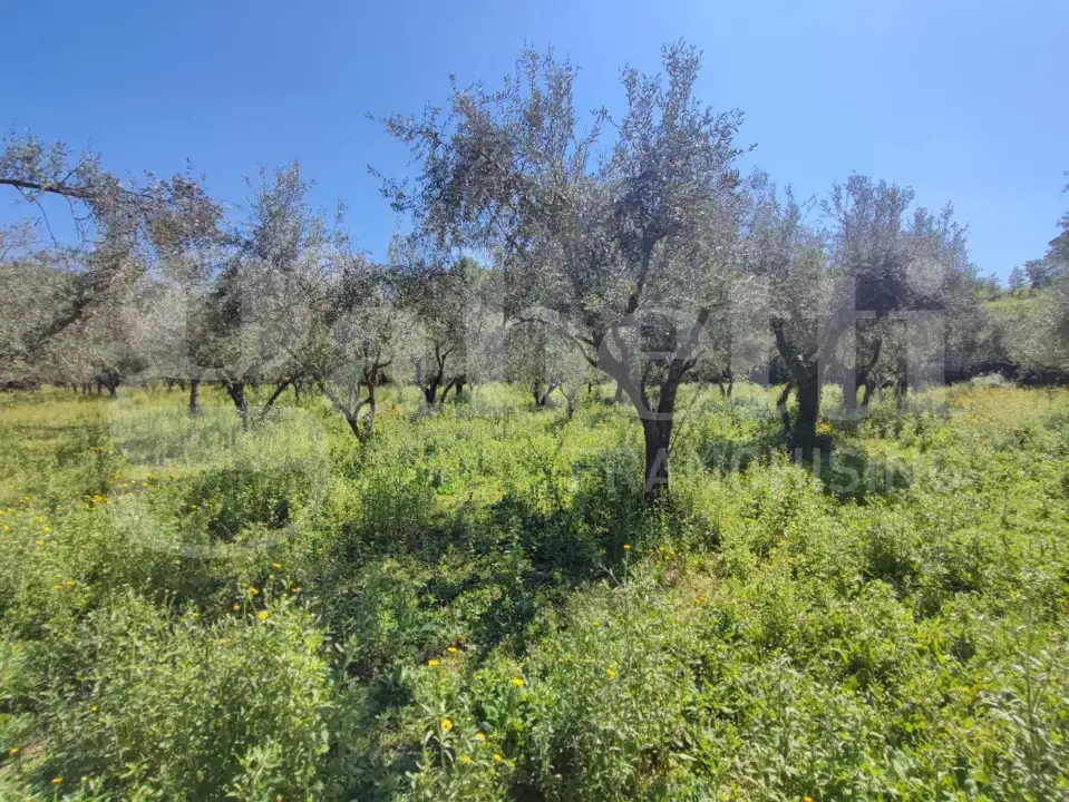 Casa Indipendente - Image 15